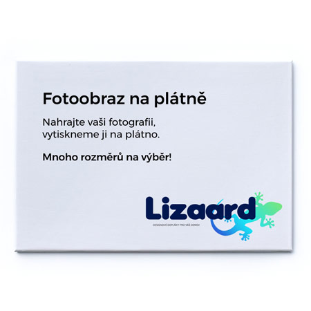 Fotoobraz na plátno