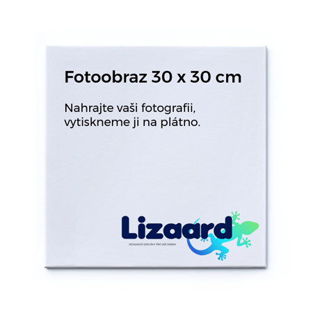 Fotoobraz 30x30 cm