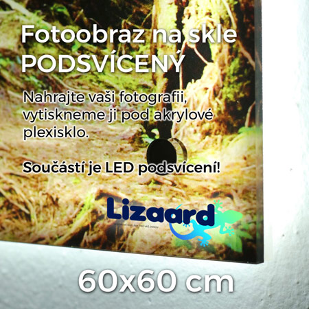 Podsvícený fotoobraz na akrylátovém skle 60x60 cm