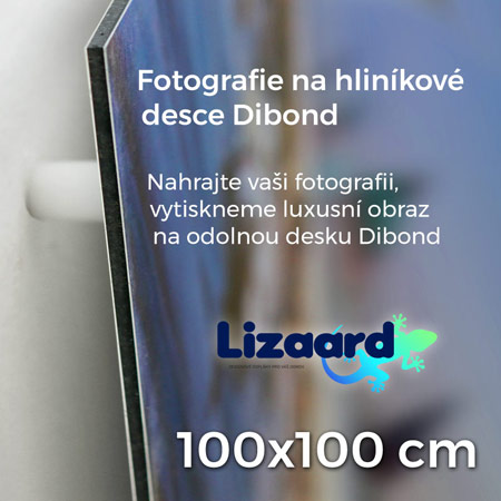 Fotoobraz na hliníkové desce DIBOND 100x100 cm